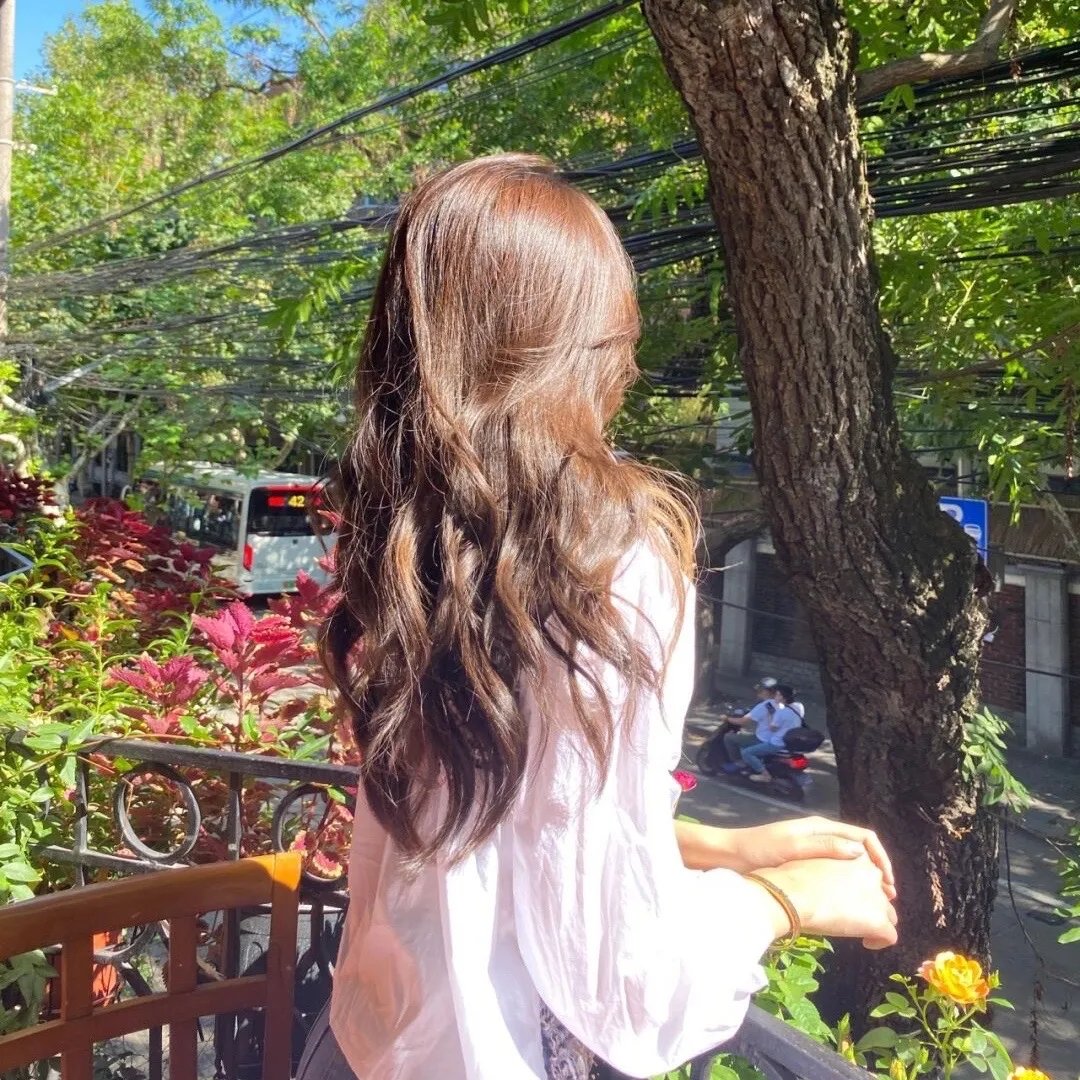 春光乍现